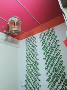 吉隆坡Birdnest Guesthouse, Gaia Rooftop Cafe的墙上有一大堆绿色植物的房间