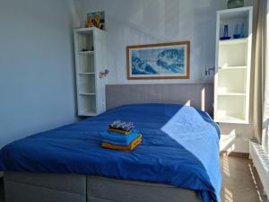 LangweerDe alve marren的一间卧室配有蓝色的床,里面装有两本书