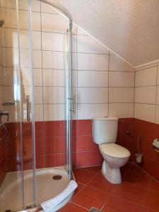 普利特维采湖Plitvice Lower Lakes Rooms的一间带卫生间和淋浴的浴室