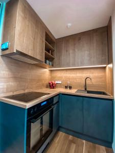 博登湖畔克雷斯波洛Sonnenhof Apartments的厨房配有蓝色橱柜和水槽