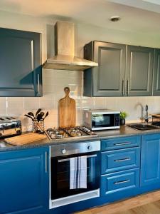 Walton on the HillPrince Arthur Apartment的厨房配有蓝色橱柜和炉灶烤箱。