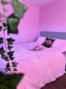 利物浦The Pink Jungle, Yes It Exists!的一个小女孩躺在粉红色房间里的床上