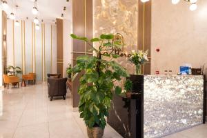 科贾埃利芙罗拉之家公寓式酒店的大厅,柜台前有盆栽植物