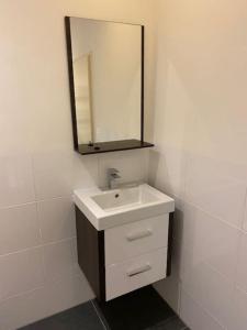 巴勒姆Ballumerhoeve Petit lodge的白色的浴室设有水槽和镜子
