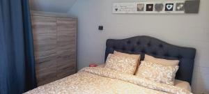 维尔雅尔姆Studio "Coeur du Lac"的一间卧室配有一张带蓝色床头板和枕头的床。