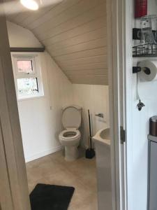 普里茅斯Bumble Bee Cottage的一间带卫生间和水槽的小浴室