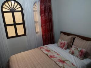 波帕扬Hotel Lili - Popayán的一张带两个枕头的床和一个窗户