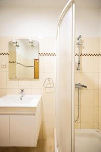 佩特坎内Apartments Marina的一间带水槽和淋浴的浴室