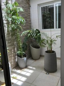 OuakamRésidence La Renaissance de Dakar的三个盆栽植物坐在门廊上