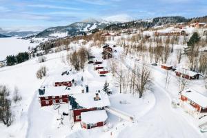 奥勒卡罗里恩阿日酒店的雪中村庄的空中景观