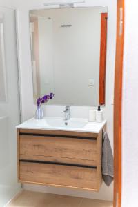 阿里亚Casa Carmen的一间带水槽和镜子的浴室