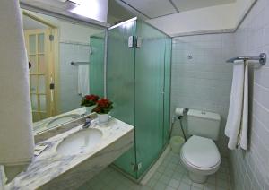萨尔瓦多Ibis Budget Salvador的一间带水槽、卫生间和淋浴的浴室