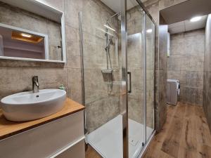 罗加斯卡斯拉提纳Apartment Center Rogaška - Pubyland的一间带水槽和淋浴的浴室