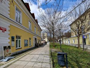 罗加斯卡斯拉提纳Apartment Center Rogaška - Pubyland的黄色建筑中的街道