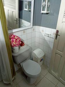 圣克鲁斯Acogedor independiente-Casa JH B的浴室设有卫生间、镜子和鲜花。