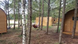 诺尔德霍尔茨Glamping Pod im Wald mit Einzelbetten的树木林中的一个吊床