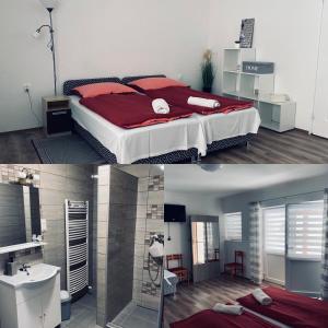 AbaújszántóSátor-Hegy Vendégház的卧室配有一张床和一间浴室的两张照片