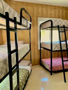 马德里Hostel Best Stay的带窗户的客房内的两张双层床