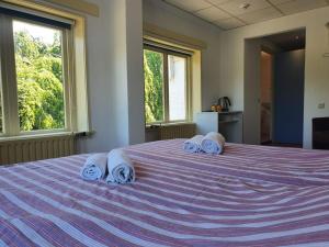 巴勒哈姆斯泰德Hotel Restaurant Sence的一间卧室配有一张大床和毛巾