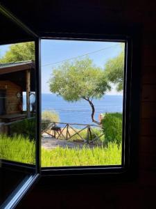 马萨鲁布朗斯Villaggio Syrenuse Residence的享有树木和海洋景致的窗户