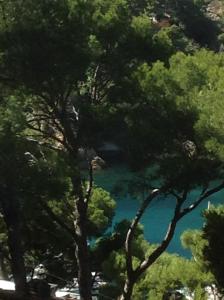 La RedonneLes terrasses des Anthenors的透过一些树木可欣赏到湖泊美景