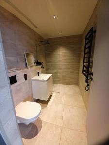 维尔纽斯Cozy apartment with underground parking的一间带卫生间和水槽的浴室