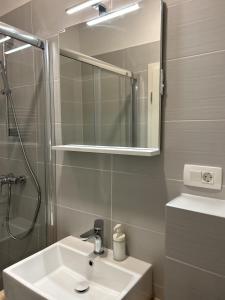 萨格勒布Park Maksimir Apartments的一间带水槽、淋浴和镜子的浴室