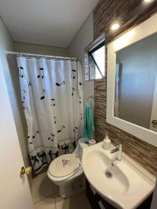 维纳德马Hermosa Casa Reñaca con Vista al Mar的浴室设有卫生间、水槽和淋浴帘