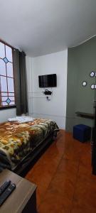 蒙得维的亚Posada Del Gaucho的卧室配有一张床,墙上配有电视。
