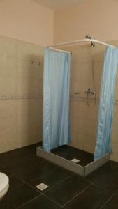 蒙得维的亚Posada Del Gaucho的一间带蓝色淋浴帘的淋浴的浴室