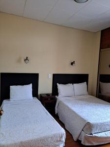 科英布拉艾维斯住宅旅馆的配有两张床垫的酒店客房内的两张床