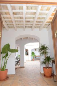 贝赫尔-德拉弗龙特拉Casa Arbonaida的走廊上设有盆栽和木制天花板