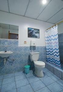 阿约拉港Hostal Gardner的一间带卫生间和水槽的浴室