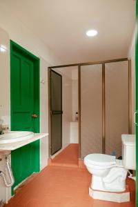 贾丁LUzArt的浴室设有绿门、卫生间和水槽。