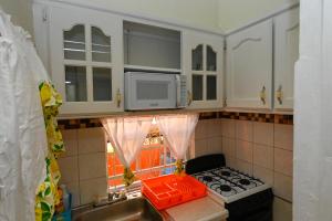 昂斯拉雷区La Vue 2的厨房配有炉灶和微波炉。