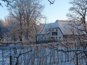 格林斯泰兹Hesselhogaard Bed & Breakfast的前院里被雪覆盖的树木覆盖的房子