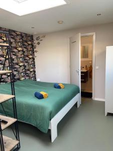 鹿特丹Sfeervol guesthouse, privé tuin en free parking的一间卧室配有绿色的床和黄色枕头