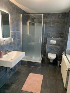 SüselGasthaus AFINA的带淋浴、盥洗盆和卫生间的浴室