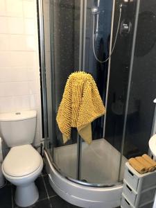 卡迪根Katy’s Cwtch的浴室设有卫生间和带毛巾的淋浴。