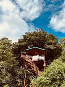 奈尼塔尔The Cocoon Camps & nature Resorts的山边的树屋