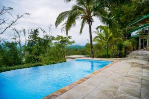 奎波斯城Jungle Jewel的棕榈树屋前的游泳池