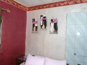 开罗City Hostel的卧室墙上有四张猫的照片