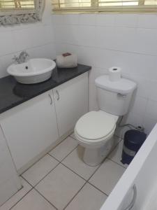 帕雷斯15 President Street in Parys的白色的浴室设有卫生间和水槽。
