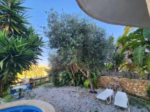 Għajn il-KbiraExclusive Pool with your own views with 3 bedrooms and 4 bathrooms in Gozo的庭院设有两把白色椅子和一棵树