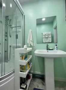 乌兰巴托Newly renovated rental unit with free parking的一间带水槽和淋浴的浴室