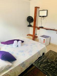 戈亚斯州上帕莱索Pousada Estrela Veadeiros的一间卧室配有一张带两个枕头的床和电视。