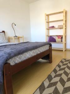 佩洛塔斯excelente apartamento completo的一间卧室配有一张带蓝色毯子的床