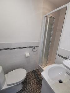 莫克姆The Kerswell Hotel的浴室配有卫生间、盥洗盆和淋浴。