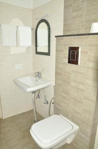 德瓦纳哈利-班加罗尔ZIONS HOTEL AND APERTMENT的一间带卫生间和水槽的浴室