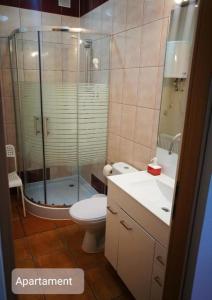 瓦古夫LuLu Apartamento Centro的带淋浴、卫生间和盥洗盆的浴室